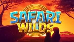  Safari Wilds, PG Slots, rodadas grátis, design gráfico, gerenciamento de banca.